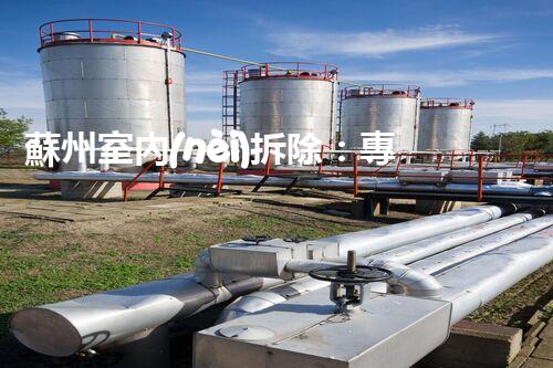 蘇州室內(nèi)拆除：專業(yè)高效，安全環(huán)保一站式服務(wù)